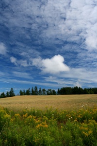 A Journey to Sustainable Living and a Self-Reliant Lifestyle Image